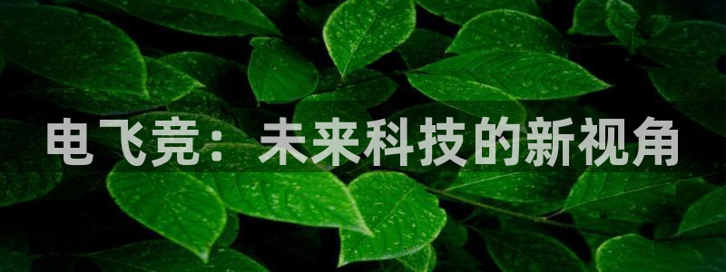 小艾电竞平台官网入口
