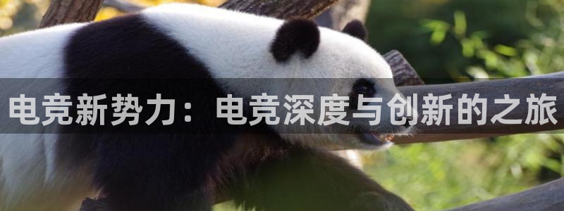 小艾电竞官网