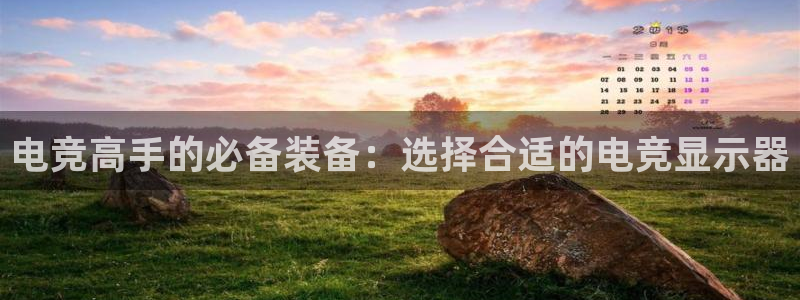 小艾电竞官网网址