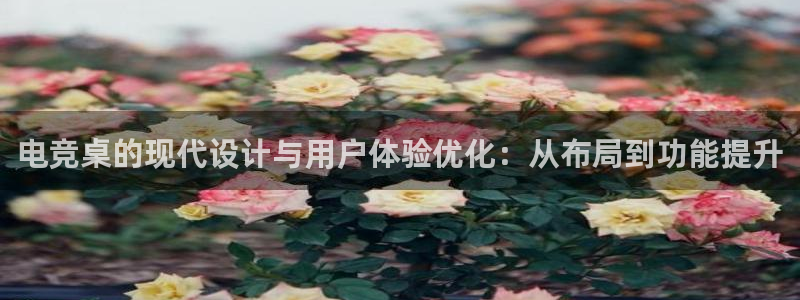 小艾电竞竞猜官网