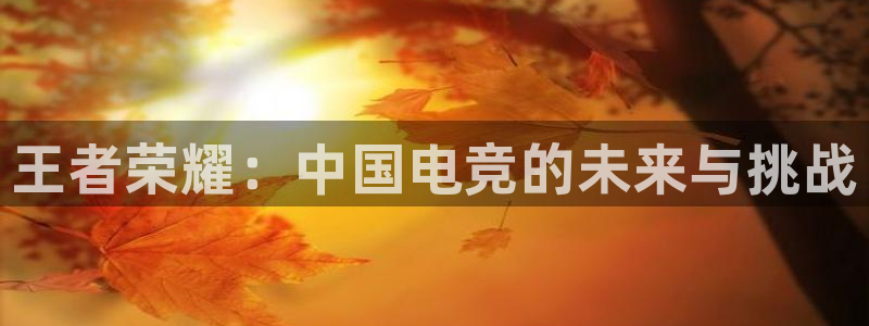 小艾电竞在线：王者荣耀：中国电竞的未来与挑战
