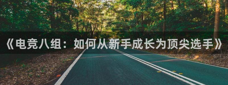 小艾电竞竞猜官网：《电竞八组：如何从新手成长为顶尖选手》