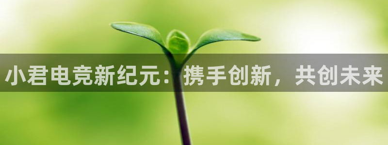 小艾电竞竞猜官网：小君电竞新纪元：携手创新，共创未来