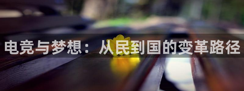 小艾电竞集团：电竞与梦想：从民到国的变革路径