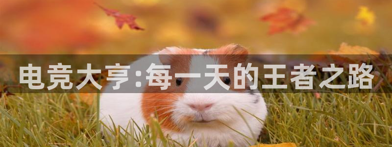 小艾电竞：电竞大亨:每一天的王者之路